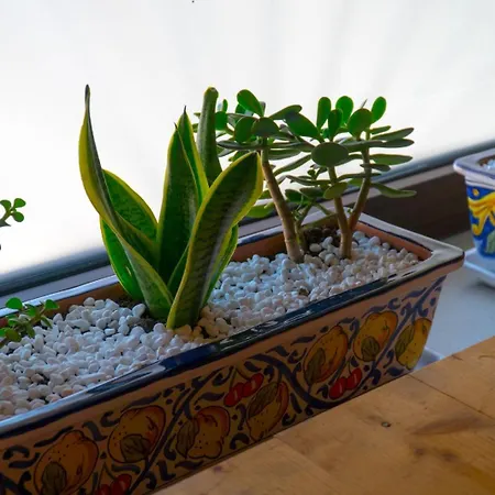 Casa Marilu' Hébergement de vacances *
